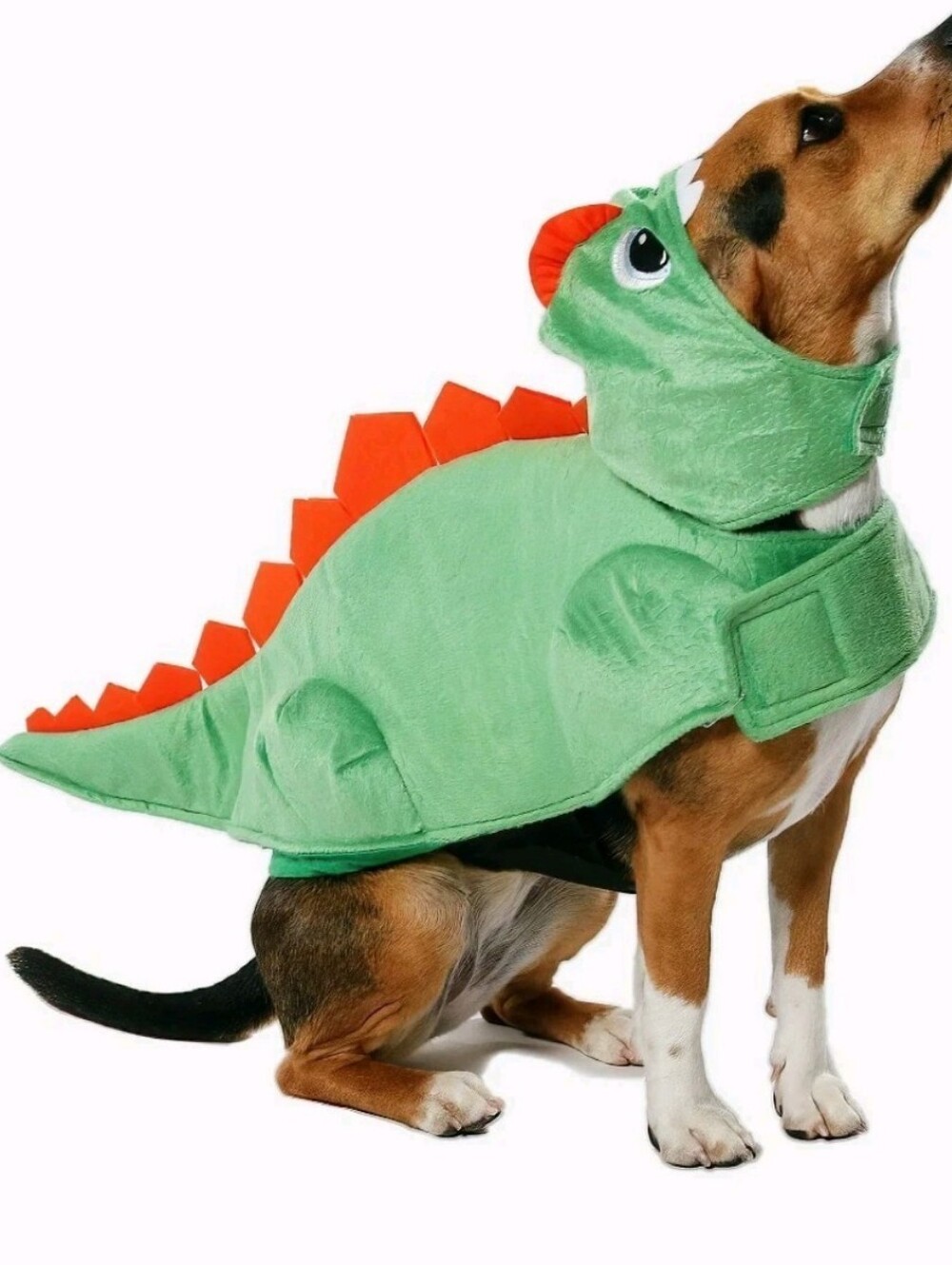 Vibrant Life Dog Cat Pet Dinosaur Costume Halloween Size Small